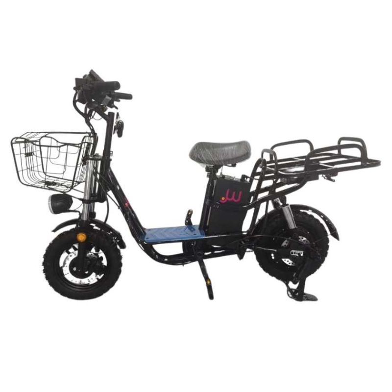 Electric Bicycle Yerevan